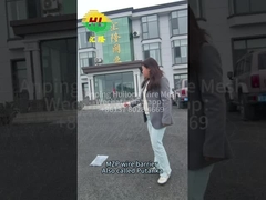 Проводная запутанность МЗП Минимальная заработная плата