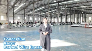 Колючая проволока Концертина Колючая проволока Егоза Колючая проволока Охранное ограждение